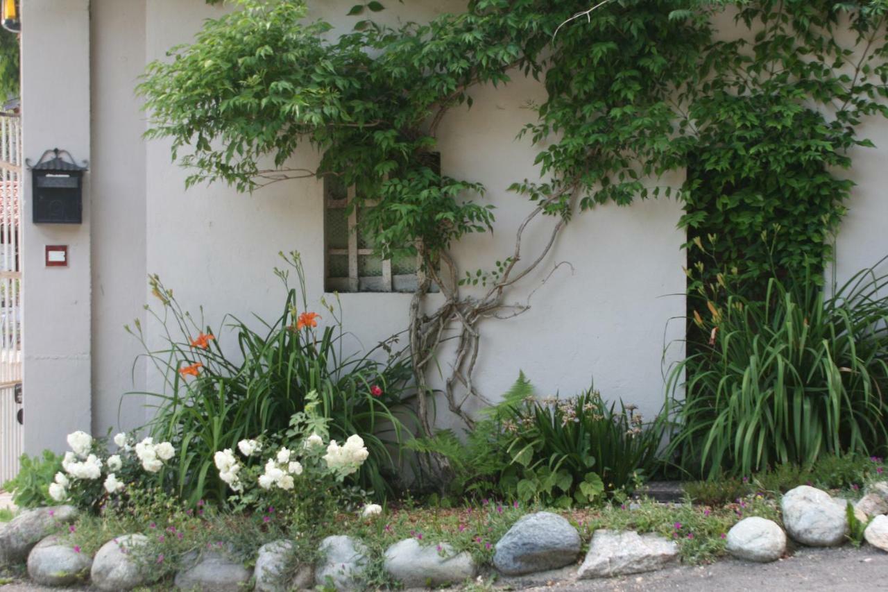 Guest House Al Devesio Rifreddo エクステリア 写真